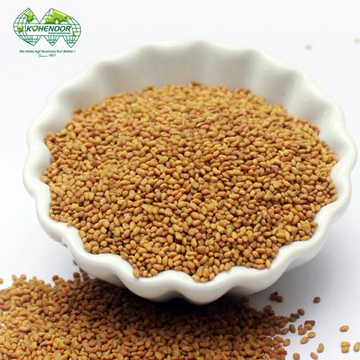 Premium Alfalfa Lucerne Seeds - Kohenoor International Pakistan