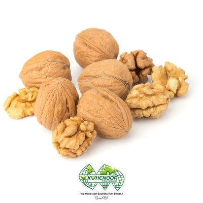 Dry Nuts and Medicinal Plants - Walnuts Raisins Herbs