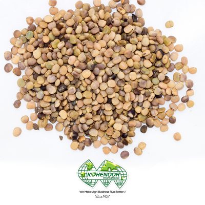 Field Crop Seeds - Sorghum Millet Maize Oats