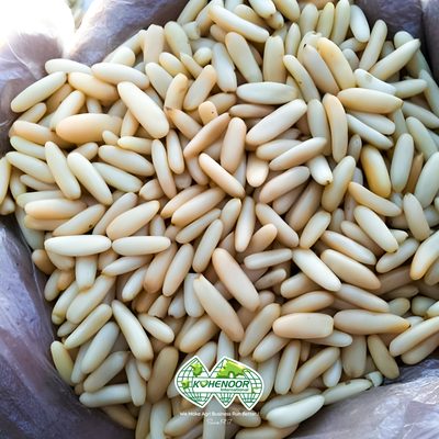 Pakistani Chilgoza Pine Nuts - Premium Export Quality