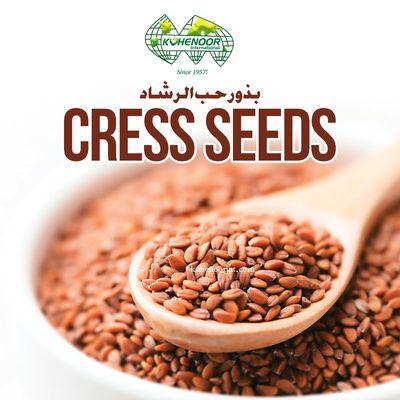 Organic Sprouting Seeds and Microgreens - 20+ Varieties