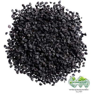 Vegetable Seeds - 25+ Open Pollinated Types