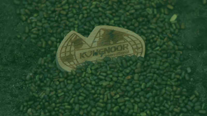 Kohenoor International global seed exports to 70+ countries